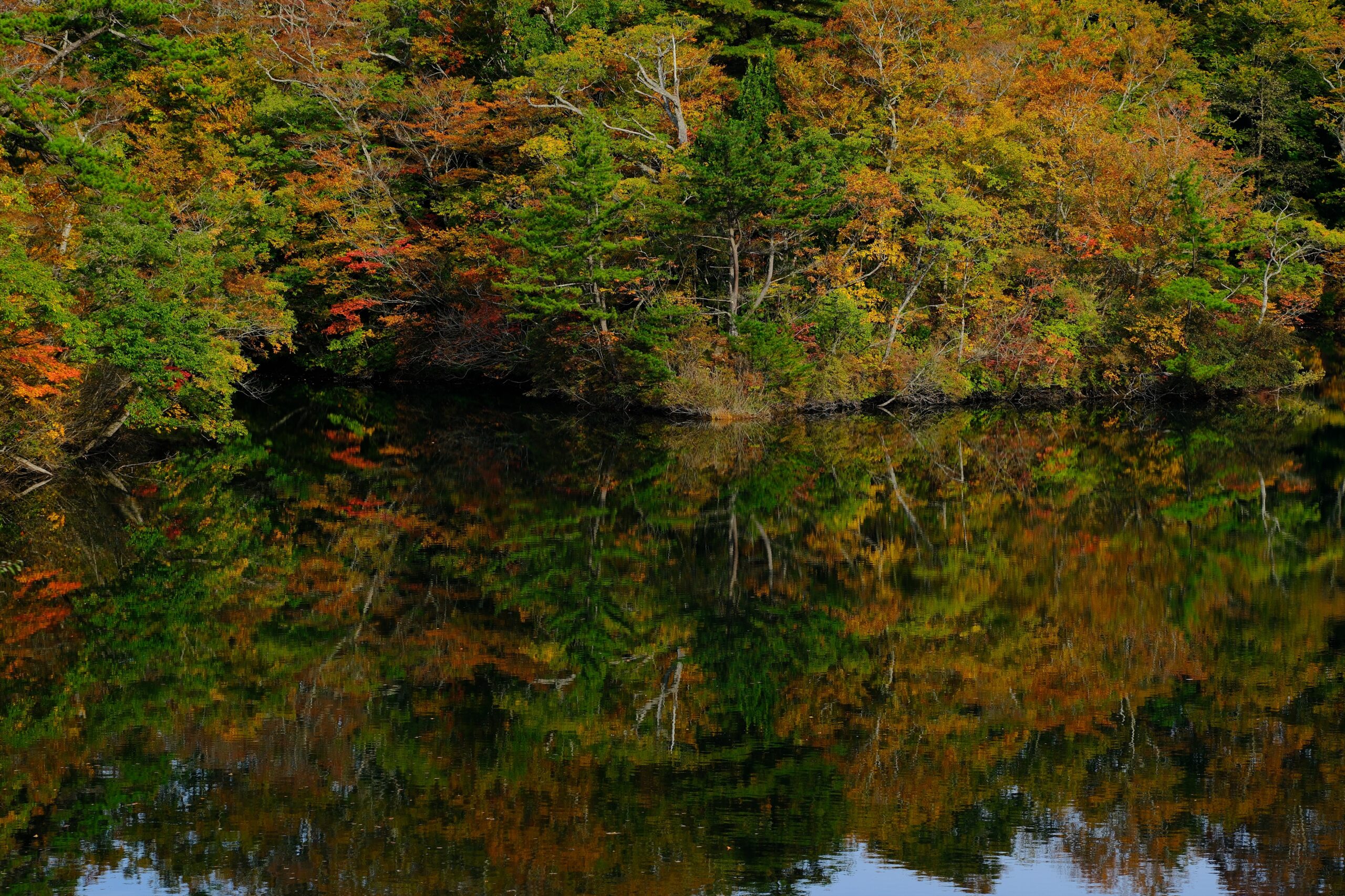 十二湖へ紅葉の撮影をしに行ってきました。